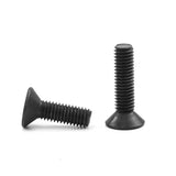 LIUDONGX Tornillo Allen de cabeza plana M2 M2.5 M3 M4 M5 M6 M8 12.9, acero al carbono, casquillo hexagonal, perno de cabeza plana para muebles, 2 a 50 unidades (3 mm, M10 2 unidades)
