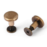 20Pcs Remaches de cuero planos Tornillos de fijación de Chicago Postes Kit de surtido para álbumes de fotos Álbumes de fotos Reparación de cuero(8mm)