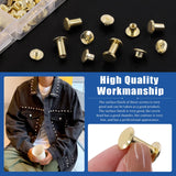 Glarks 110 juegos de 6 tamaños de tornillos Chicago remaches de piel con punzón y kit de destornillador, M5 x 4/5/6/8/10/12 mm Chicago Button Binding Poste Tornillo Remaches de Uñas para DIY piel Artesanía Librería (dorado)