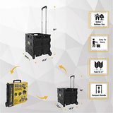 Olympia herramientas 85 – 010 Grand pack-n-roll portátil herramienta Carrier, negro